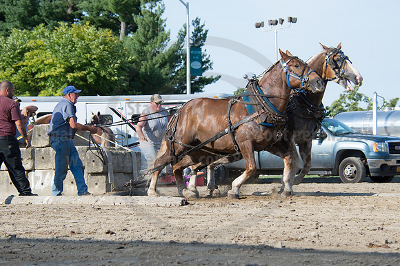 2016DCF_08242016_SCL_9505