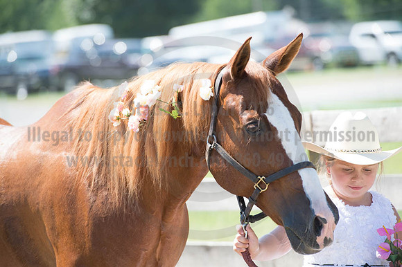 2016DCF_08272016_SCL_1261