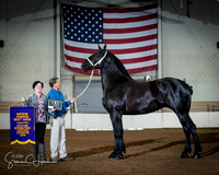 Supreme_Halter_Horse_2016_KILE_10072016_SCL_8264