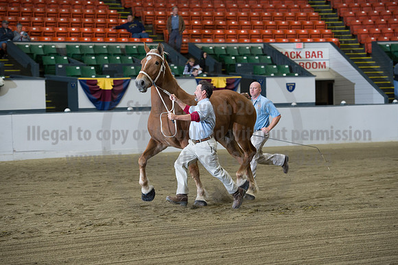 NABC8_10132016_SCL_5122