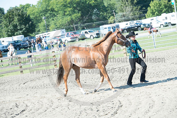 2016DCF_08272016_SCL_1056