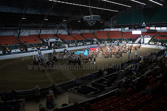 NABC8_10142016_SCL_8769