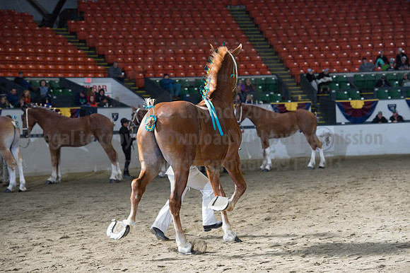 NABC8_10122016_SCL_2895