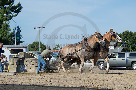 2016DCF_08242016_SCL_9535