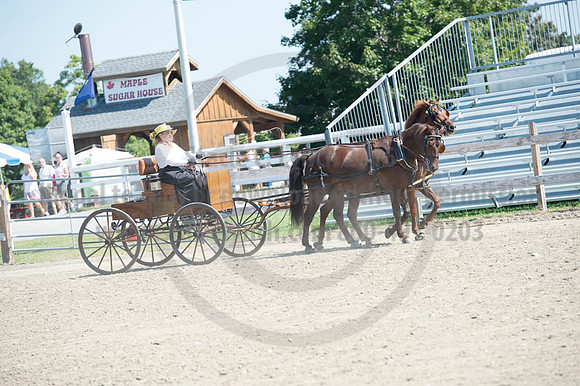 2016DCF_08272016_SCL_1145