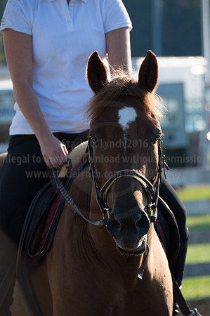2016DCF_08242016_SCL_8297