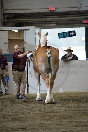 NABC8_10132016_SCL_5112
