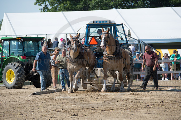 2016DCF_08242016_SCL_9404
