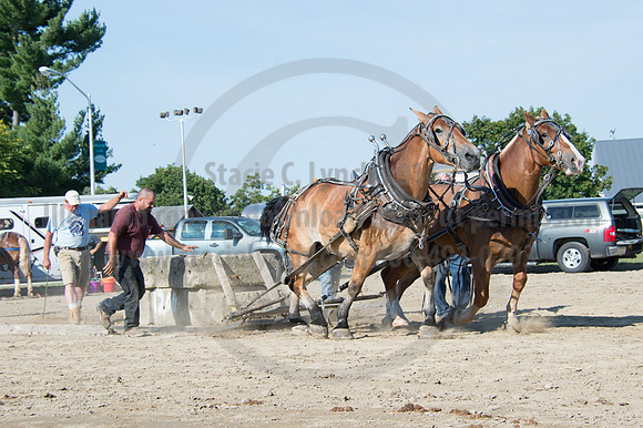 2016DCF_08242016_SCL_9442