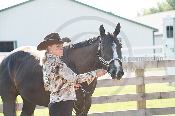 2016DCF_08272016_SCL_0980