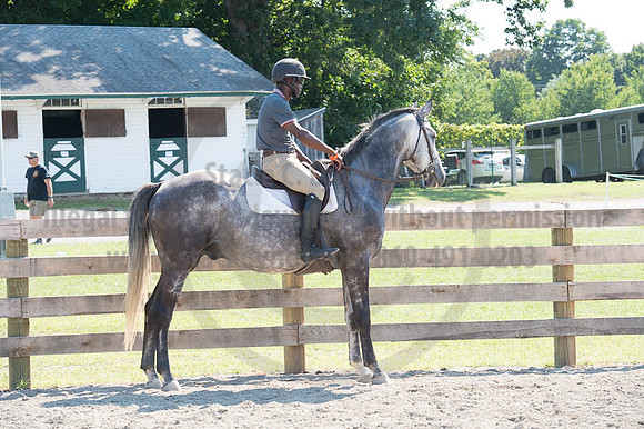 2016DCF_08262016_SCL_0768