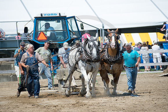 2016DCF_08242016_SCL_9136