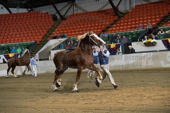 NABC8_10122016_SCL_4101