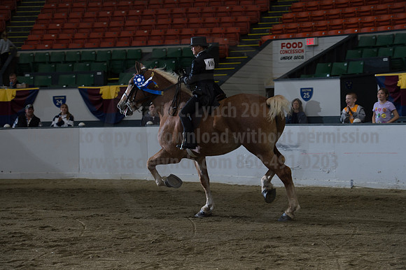 NABC8_10152016_SCL_0642