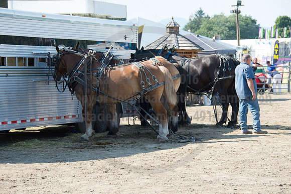 2016DCF_08242016_SCL_9399