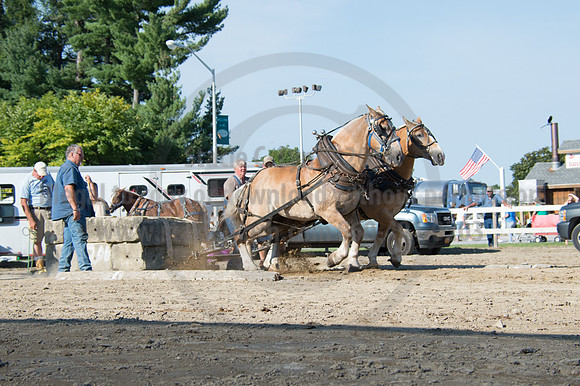 2016DCF_08242016_SCL_9494