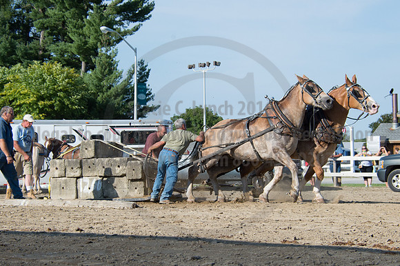 2016DCF_08242016_SCL_9533