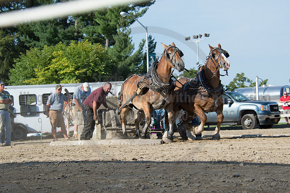 2016DCF_08242016_SCL_9552