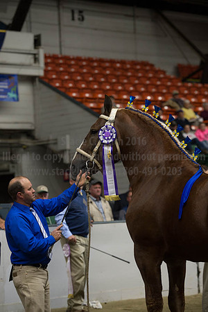 NABC8_10122016_SCL_4124