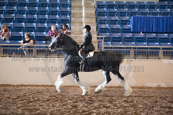 2016 _KILE_10082016_SCL9286