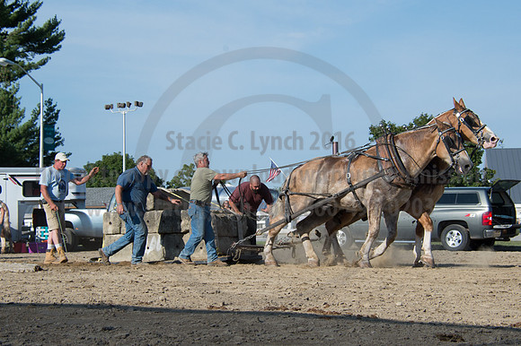 2016DCF_08242016_SCL_9539
