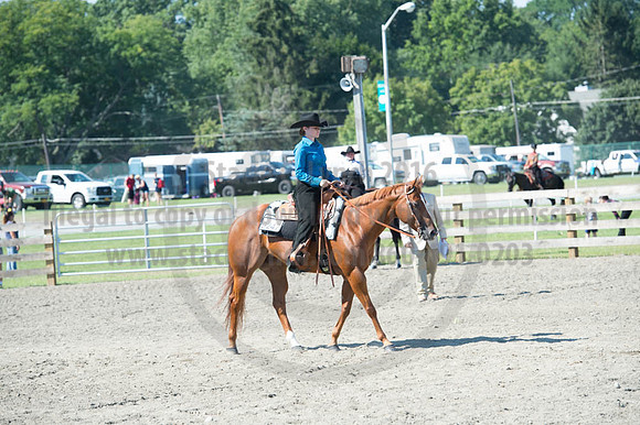 2016DCF_08272016_SCL_1099