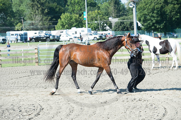 2016DCF_08272016_SCL_1065