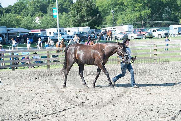 2016DCF_08272016_SCL_1059