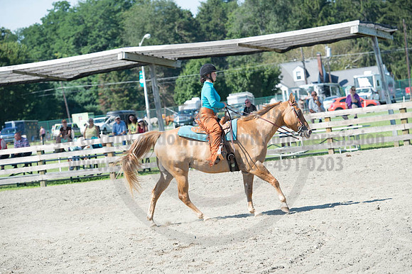 2016DCF_08272016_SCL_1126