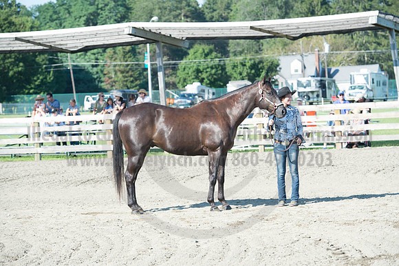 2016DCF_08272016_SCL_1023