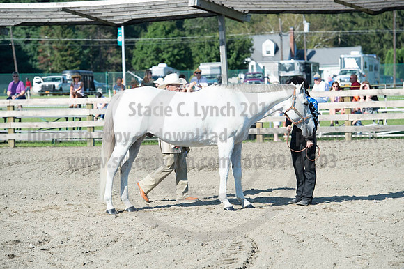 2016DCF_08272016_SCL_1005