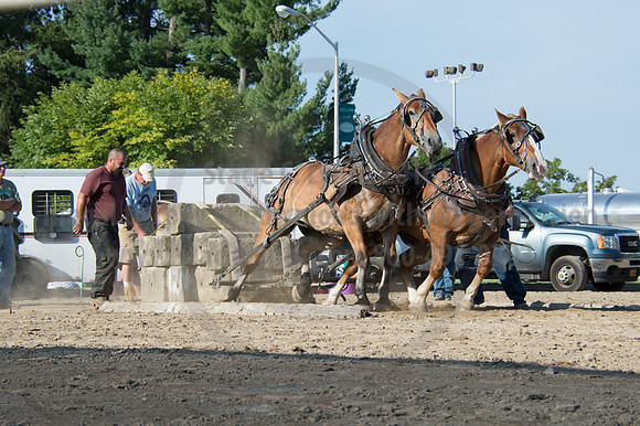 2016DCF_08242016_SCL_9544