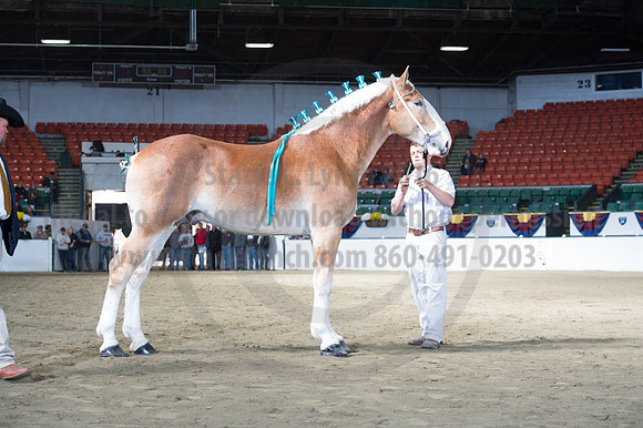 NABC8_10122016_SCL_2839