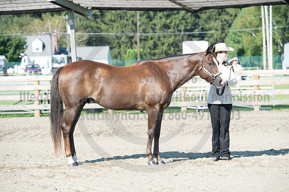 2016DCF_08272016_SCL_0959