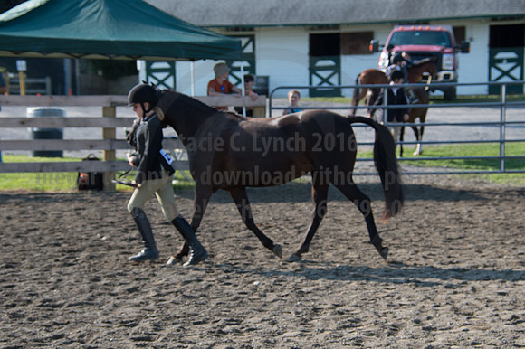 2016DCF_08242016_SCL_8340