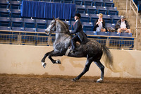 Under Saddle