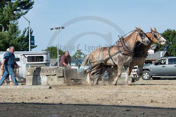 2016DCF_08242016_SCL_9479