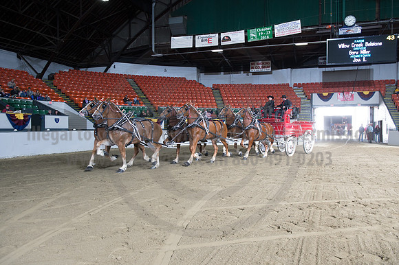 NABC8_10142016_SCL_8665