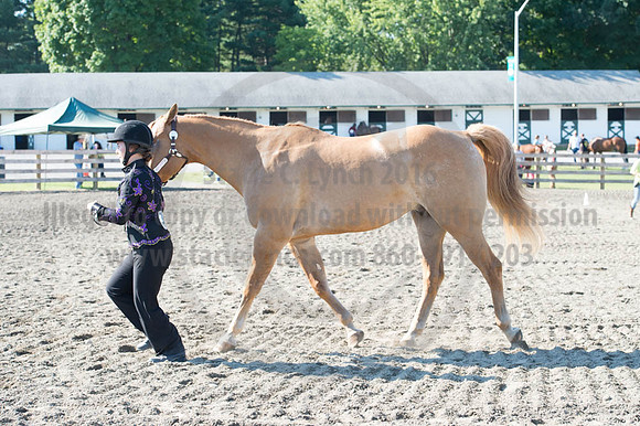 2016DCF_08272016_SCL_1014