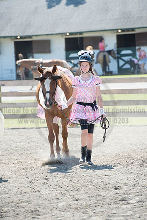 2016DCF_08272016_SCL_1244