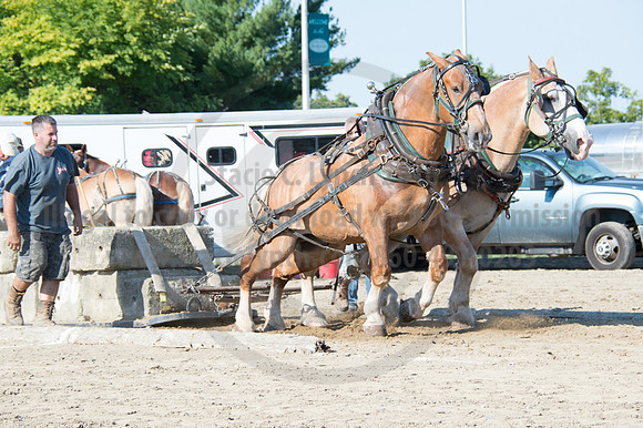 2016DCF_08242016_SCL_9432