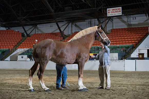 NABC8_10152016_SCL_1854