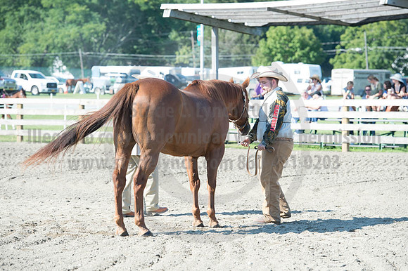 2016DCF_08272016_SCL_1018