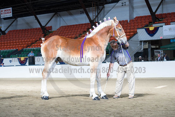 NABC8_10122016_SCL_2903