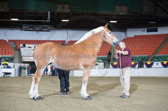 NABC8_10132016_SCL_5055