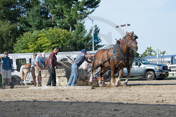 2016DCF_08242016_SCL_9508