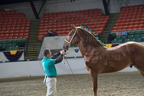 NABC8_10122016_SCL_2931