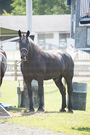2016DCF_08242016_SCL_9036