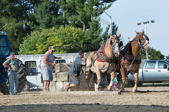 2016DCF_08242016_SCL_9559