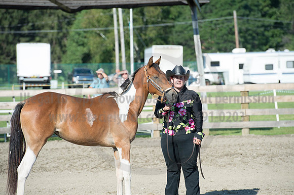 2016DCF_08272016_SCL_0946